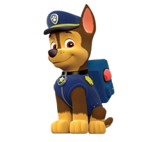 Load image into Gallery viewer, Paw Patrol (Custom)
