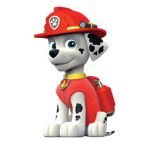 Load image into Gallery viewer, Paw Patrol (Custom)
