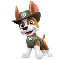 Load image into Gallery viewer, Paw Patrol (Custom)
