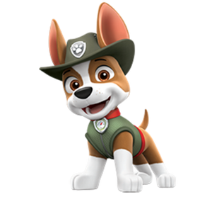 Paw Patrol (Custom)