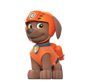 Paw Patrol (Custom)